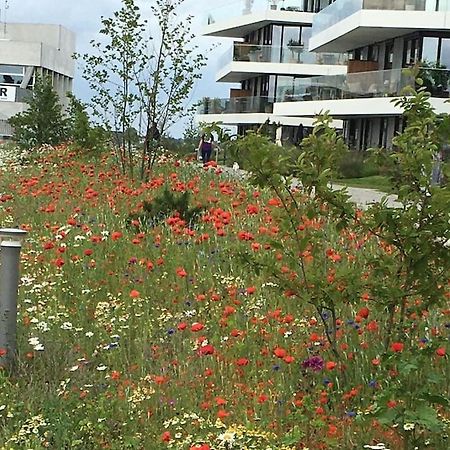 Apartament Bo Med Stil Og Udsigt Til Aarhus Lystbadehavn Zewnętrze zdjęcie