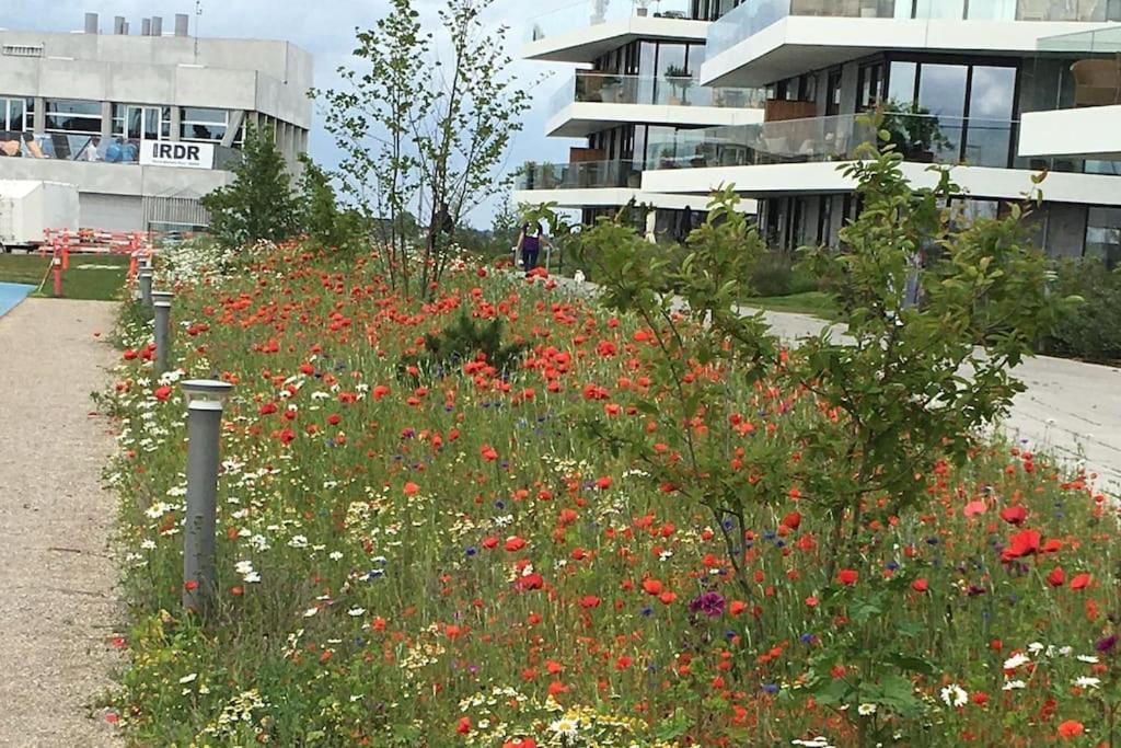 Apartament Bo Med Stil Og Udsigt Til Aarhus Lystbadehavn Zewnętrze zdjęcie